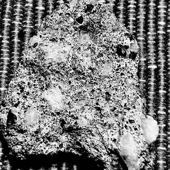 Literally not sure but could be multiple things found in Florida - Picture 1 of 1